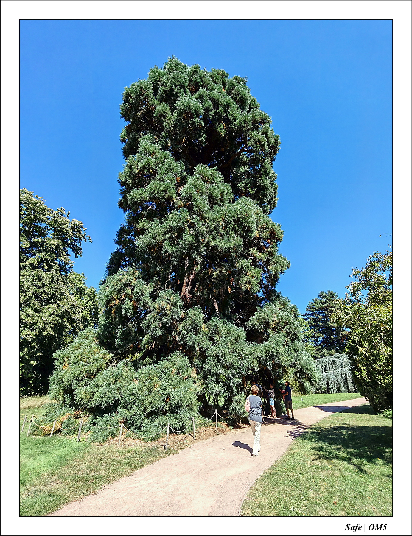 2025 - 08 - Vallée des loups - 20